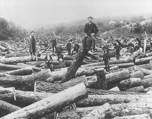 Loggers in Stillwater